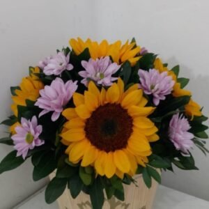 Barril c/6 Girasoles