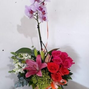 Orquidea con perritos y rosas