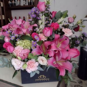 Caja 24 Thamira