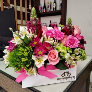 Caja Cofre blanca
