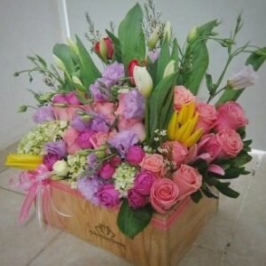 Caja 40 Cinthya