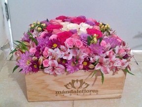 Caja 40 Jardin con 24 rosas