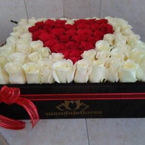 Caja 80 rosas