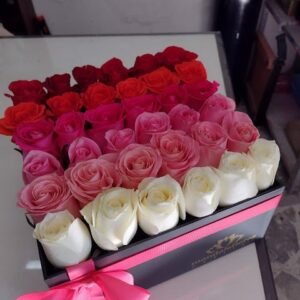 Caja 36 rosas degradada