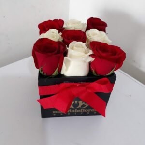 Cubo con 9 Rosas