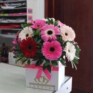 Cubo Grande con 20 Gerberas