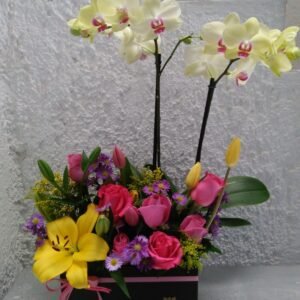 Orquidea en caja 24