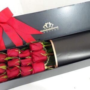 Estuche con 12 rosas