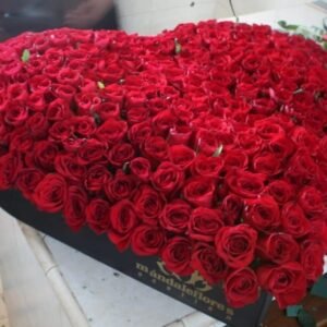 Caja Corazón 300 Rosas 3D