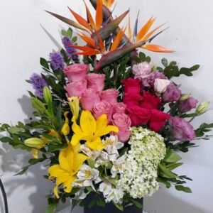Caja Circular de aves