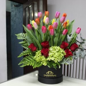 Caja Circular Ch Serenata con Tulipanes