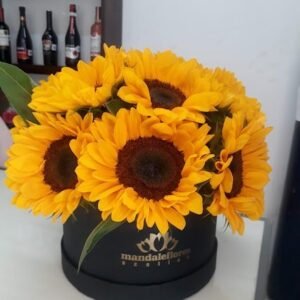 Caja Circular Med 10 Girasoles