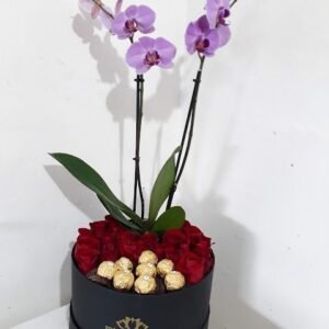 Orquidea en Pizzeta
