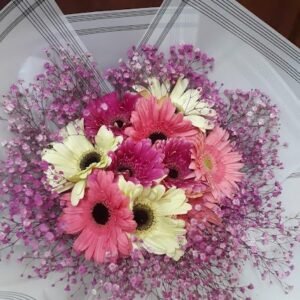 Ramo 12 Gerberas con Gypso