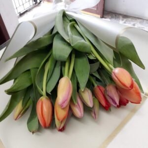 Ramo 12 Tulipanes