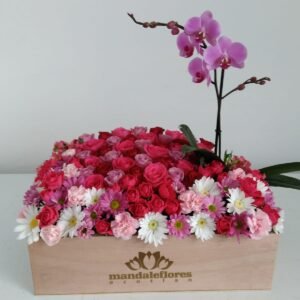 Caja 40 Jardin con Orquidea