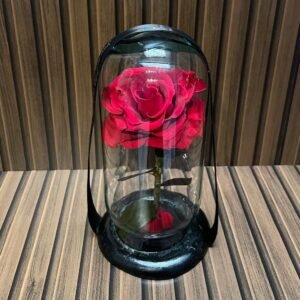 Rosa Eterna Roja