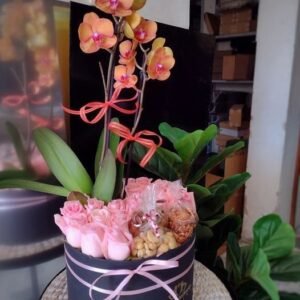Orquidea en Pizetta con botanas