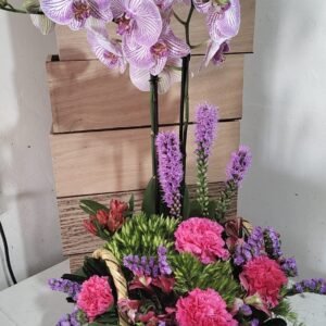 Orquidea con Claveles y Leatriz