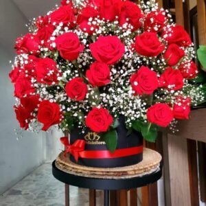 Media esfera con 50 rosas y gypso