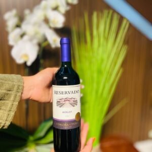 Botella Vino tinto Reservado Merlot Concha y Toro 750ml