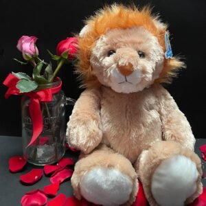 Peluche de Leon 50cm