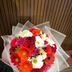 Ramo 30 gerberas coloridas