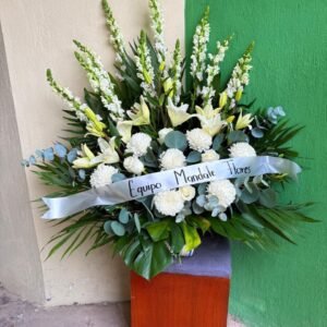 Pie de caja con polares